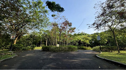 Blk 384 Bukit Batok West Avenue 5 (Bukit Batok), HDB 5 Rooms #595758471